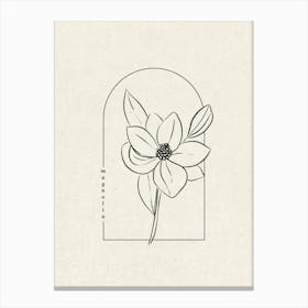 Magnolia Flower Canvas Print