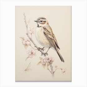 Vintage Bird Drawing Lark 1 Canvas Print