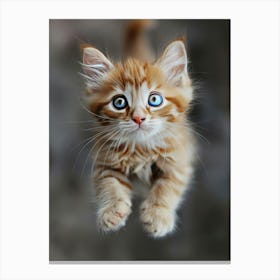 Cute Kitten 1 Canvas Print