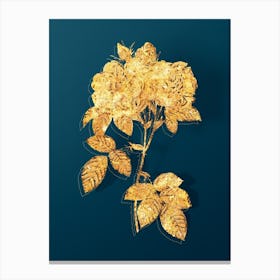 Vintage Italian Damask Rose Botanical in Gold on Teal Blue n.0168 Canvas Print