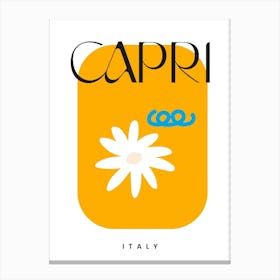 Capri Travel  Canvas Print