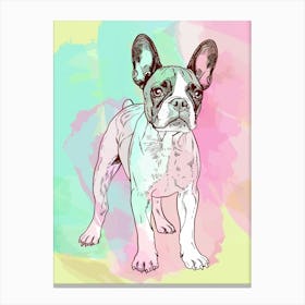 Boston Terrier Dog Pastel Line Painting 1 Canvas Print