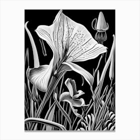 Mariposa Lily Wildflower Linocut 1 Canvas Print