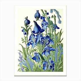 Bluebell 2 Floral Botanical Vintage Poster Flower Canvas Print