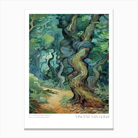 Walk In The Woods Canvas Print