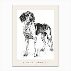 English Foxhound Dog Line Sketch 1 Poster Canvas Print