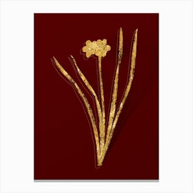 Vintage Primrose Peerless Botanical in Gold on Red n.0209 Canvas Print