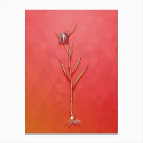 Vintage Chess Flower Botanical Art on Fiery Red n.1053 Canvas Print