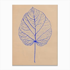 Leaf illustration Canvas Print