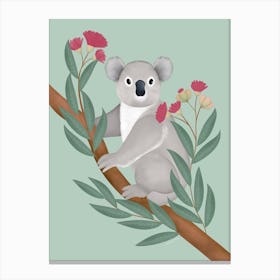 Koala Bear In Eucalyptus Tree Canvas Print