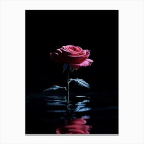 Rose In Water 2 Canvas Print