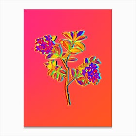 Neon Hairy Alpenrose Botanical in Hot Pink and Electric Blue Canvas Print