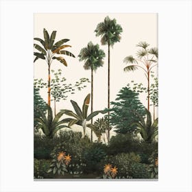 Tropical Particular Old White Jpg Canvas Print