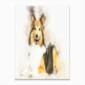 Shetland Dog Canvas Print