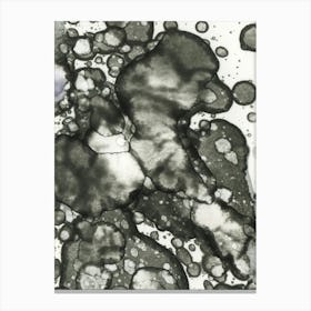 Japanese Abstract Stain Art Canvas Print