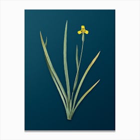 Vintage Iris Martinicensis Botanical Art on Teal Blue n.0510 Canvas Print