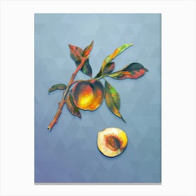 Vintage Peach Botanical Art on Summer Song Blue n.1153 Canvas Print