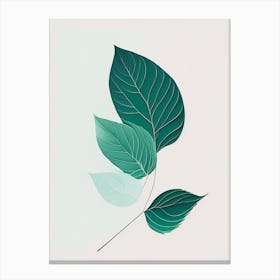 Mint Leaf Abstract 4 Canvas Print