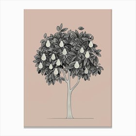 Pear Tree Minimalistic Drawing 3 Canvas Print