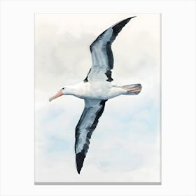 Bird In Flight Canvas Print