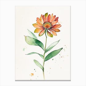 Zinnia Leaf Minimalist Watercolour Canvas Print