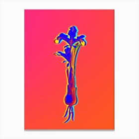Neon Iris Persica Botanical in Hot Pink and Electric Blue n.0602 Canvas Print