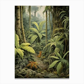 Vintage Jungle Botanical Illustration Banana Plant 2 Canvas Print