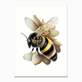 Bumblebee 1 Vintage Canvas Print