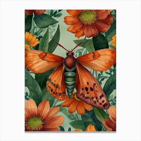 Moth On A Flower Canvas Print