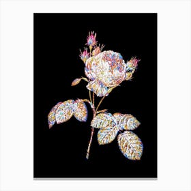 Stained Glass Pink Cabbage Rose Mosaic Botanical Illustration on Black n.0228 Canvas Print