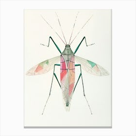 Colourful Insect Illustration Katydid 9 Canvas Print