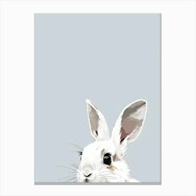 White Rabbit Canvas Print Canvas Print