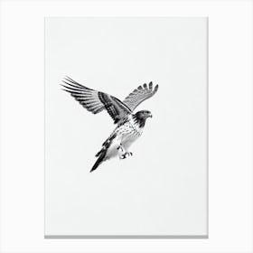 Red Tailed Hawk B&W Pencil Drawing 3 Bird Canvas Print