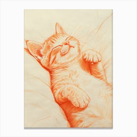 Cat Sleeping 2 Canvas Print