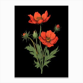 Red Poppies On Black Background Canvas Print