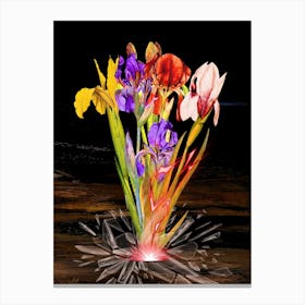 Irises Canvas Print