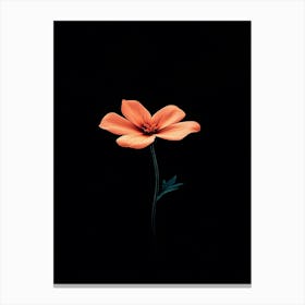 Single Orange Flower On Black Background 3 Canvas Print