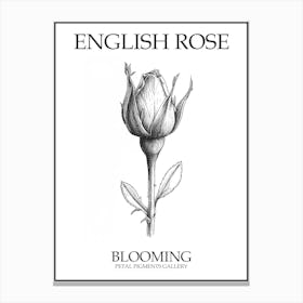 English Rose Blooming Line Drawing 3 Poster Canvas Print