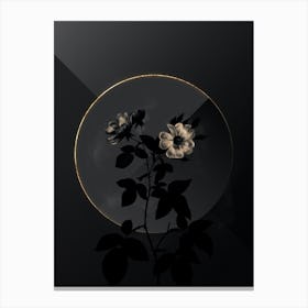 Shadowy Vintage Red Bramble Leaved Rose Botanical on Black with Gold n.0165 Canvas Print