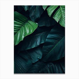 Tropical Leaves Wallpaper 2 Canvas Print
