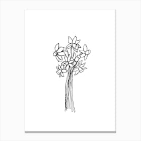 Daffodils Line Drawing Canvas Print