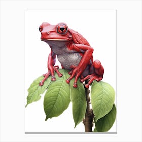 Red Tree Frog Botanical Realistic 3 Canvas Print