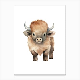 Bison Canvas Print