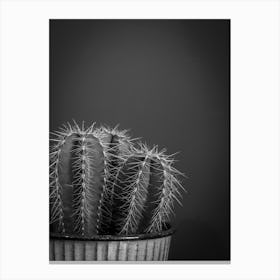 Black and white botanical cactus - moody and dark plant - fall and winter photography by Christa Stroo Photography Canvas Print