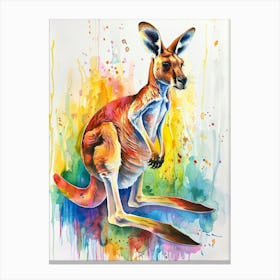 Kangaroo Colourful Watercolour 2 Canvas Print