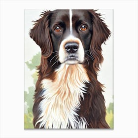 Boykin Spaniel 3 Watercolour dog Canvas Print