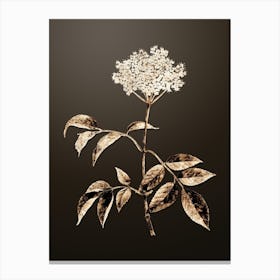 Gold Botanical Elderflower Tree on Chocolate Brown n.3366 Canvas Print