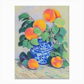Apricot Vintage Sketch Fruit Canvas Print
