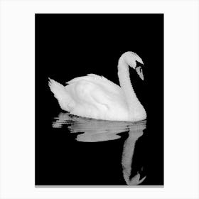 Swan on Water in Line Art Canvas Print
