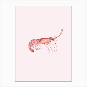 Shrimpy Canvas Print